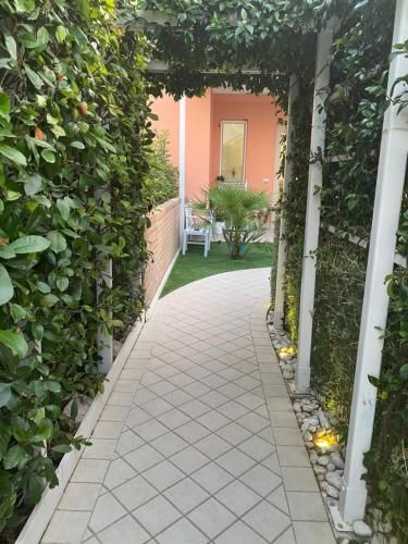 صورة الفندق 8