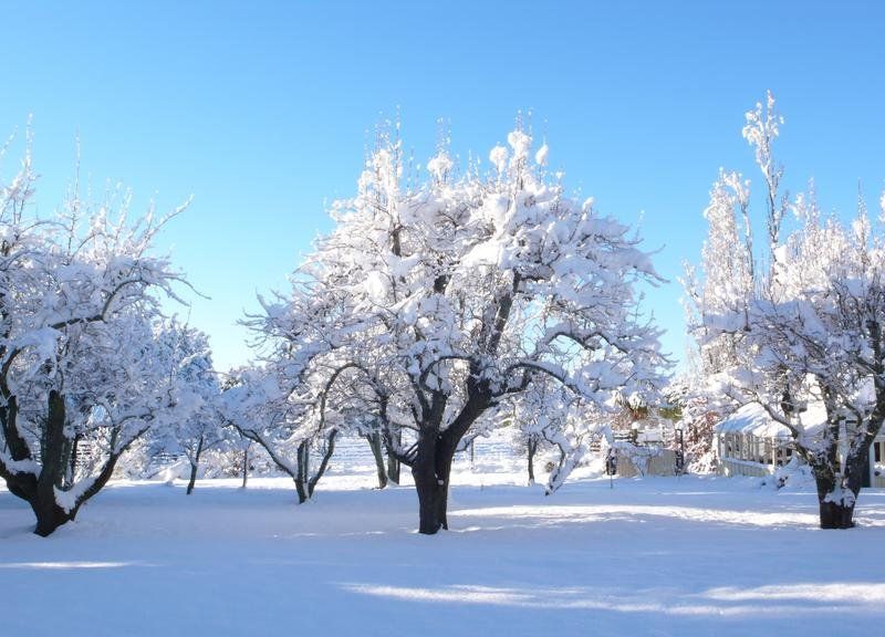 صورة الفندق 16