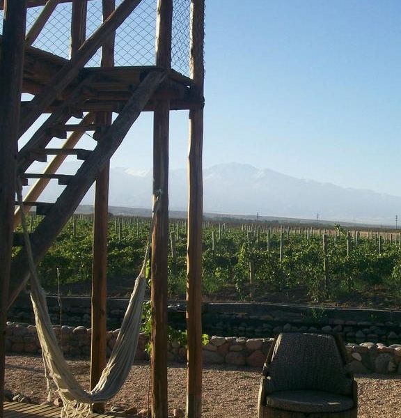 صورة الفندق 10