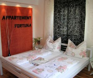 Appartement Fortuna Saalfelden Austria