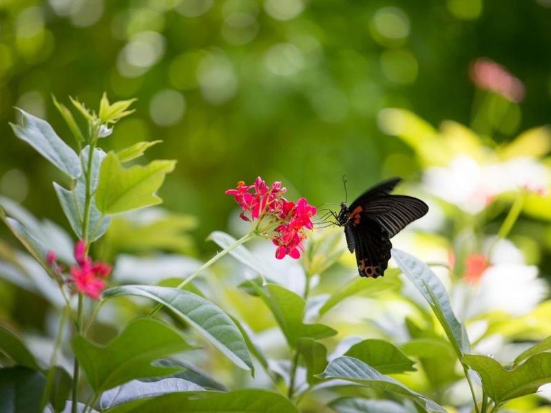 صورة الفندق 18