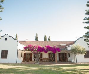 Vesuvio Olive Estates Villa B&B Windmeul South Africa