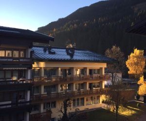 Bear Hutte Saalbach Austria