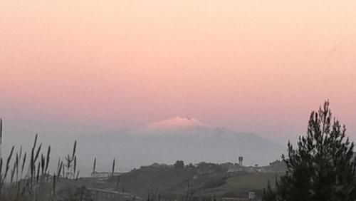 صورة الفندق 16