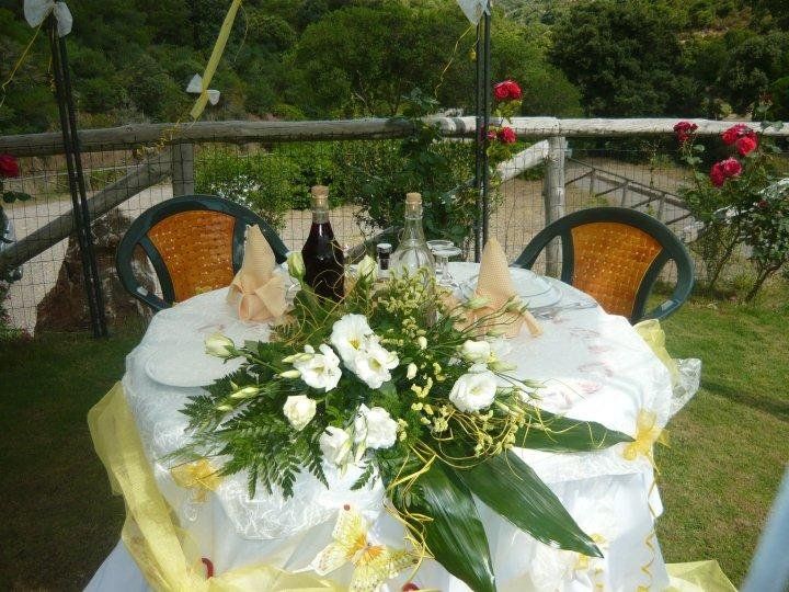 صورة الفندق 20