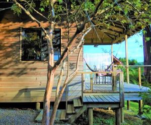 Bird Watching Ocean View House Montezuma Costa Rica