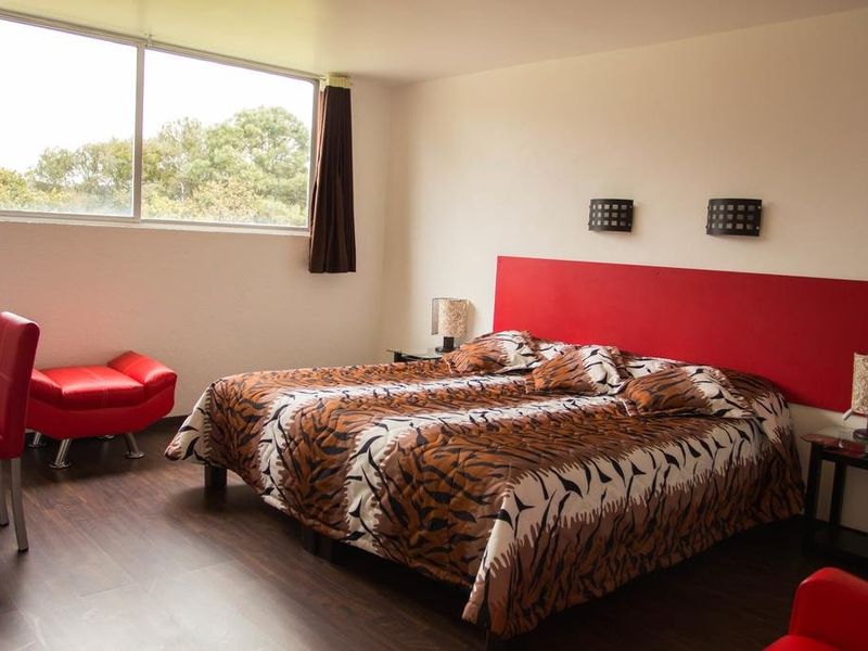 Hotel Photo 5