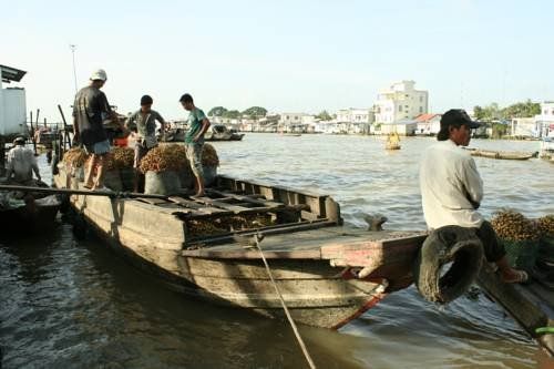 صورة الفندق 24