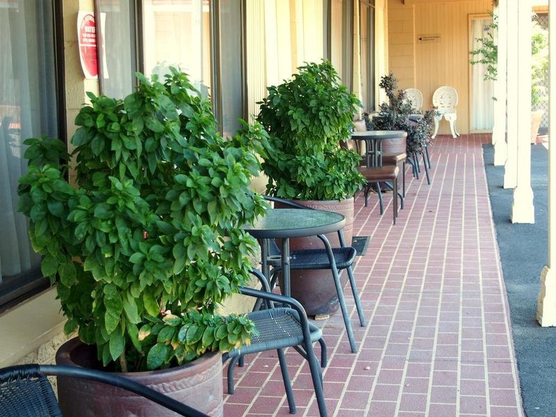 Hotel Photo 16