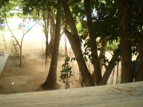 صورة الفندق 19