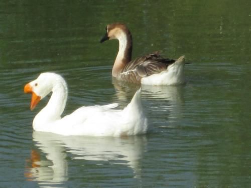 صورة الفندق 3