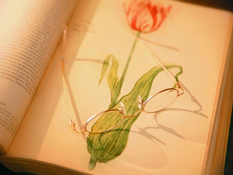 صورة الفندق 17