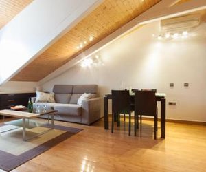 Cozy Apartment La latina Madrid Spain