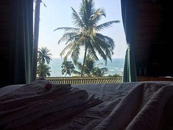 صورة الفندق 4