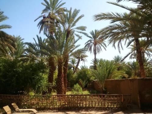 صورة الفندق 15