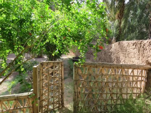 صورة الفندق 16
