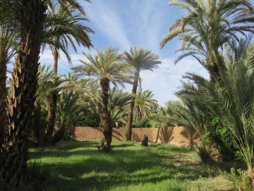 صورة الفندق 17