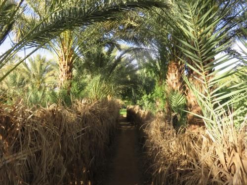 صورة الفندق 20