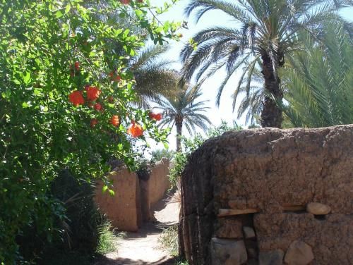 صورة الفندق 6