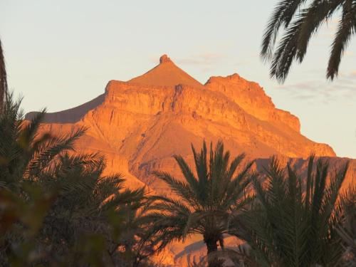 صورة الفندق 9