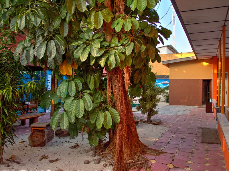 Hotel Photo 22