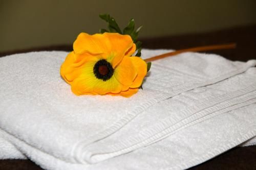 صورة الفندق 15