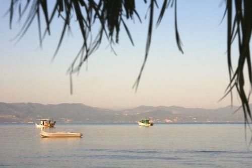 صورة الفندق 22