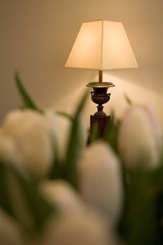 صورة الفندق 21