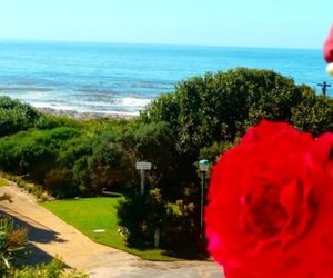 Belle Vue Guesthouse Hermanus South Africa