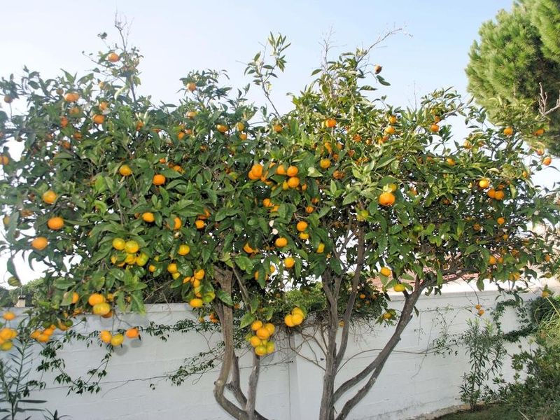 صورة الفندق 17