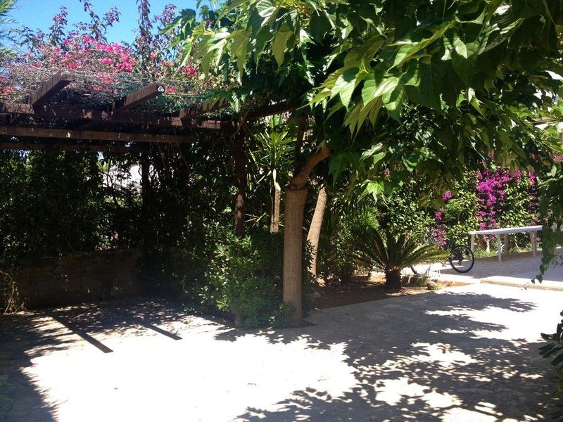 صورة الفندق 8