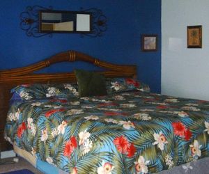 Green Lions Farm B&B Kona United States