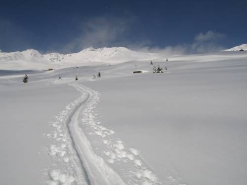 صورة الفندق 19