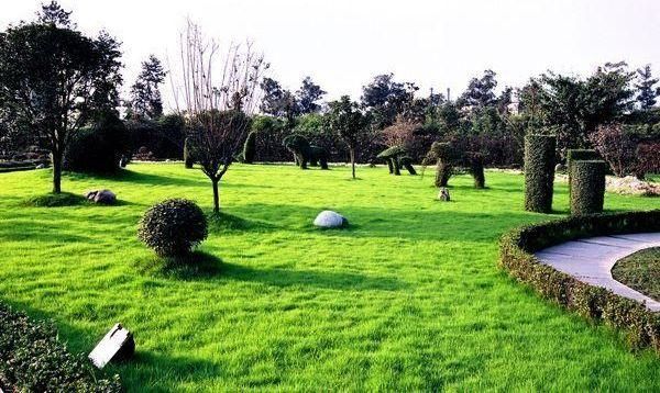 صورة الفندق 18