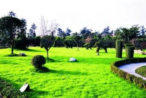 صورة الفندق 20