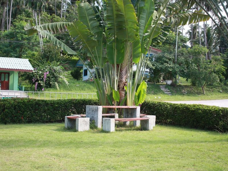 صورة الفندق 8