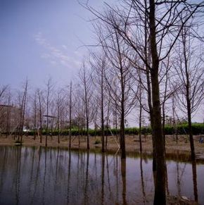 NearBy Hotel