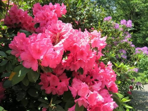 صورة الفندق 6