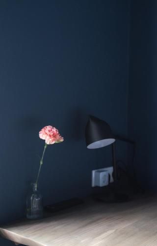 صورة الفندق 20