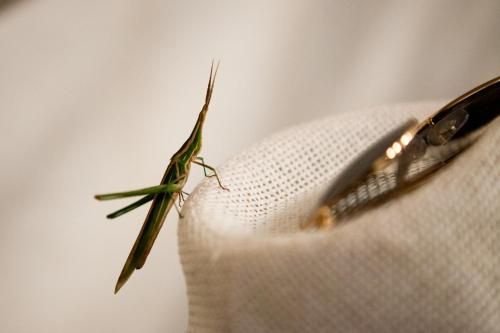 صورة الفندق 19
