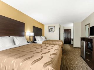 Hotel pic Quality Inn & Suites Metropolis I-24