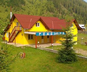 PENSIUNEA PICIUL Vatra Dornei Romania