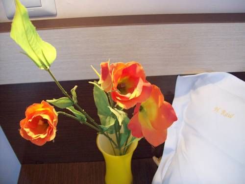 صورة الفندق 12