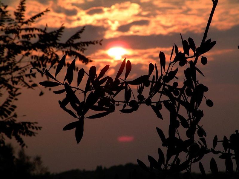 صورة الفندق 19