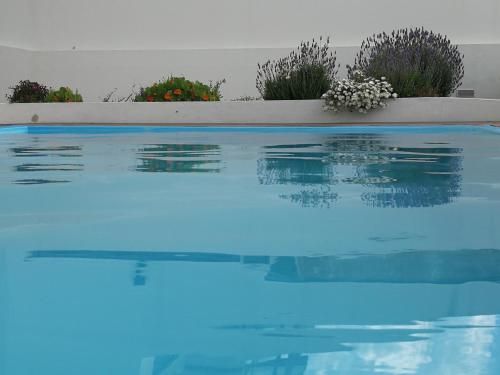 صورة الفندق 22