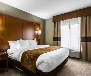 Comfort Suites - University Lubbock United States