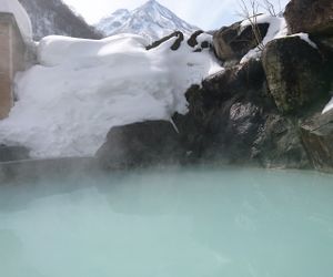Tsubame Onsen Hotel Hanabun Shinano Japan