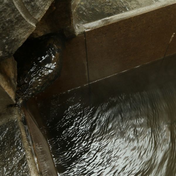 صورة الفندق 2