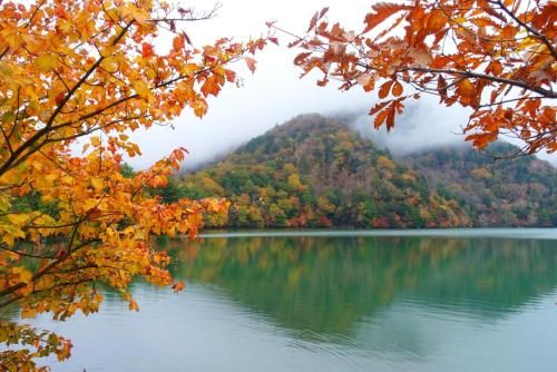 صورة الفندق 17