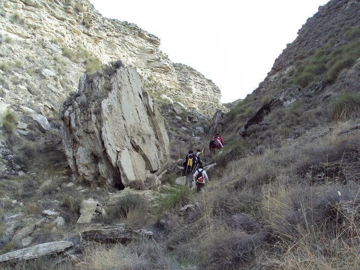 صورة الفندق 12